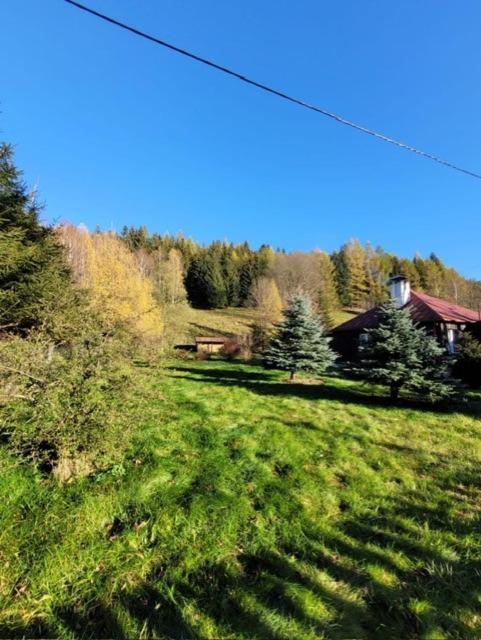 Patysiowka Villa Stronie Slaskie Exterior photo